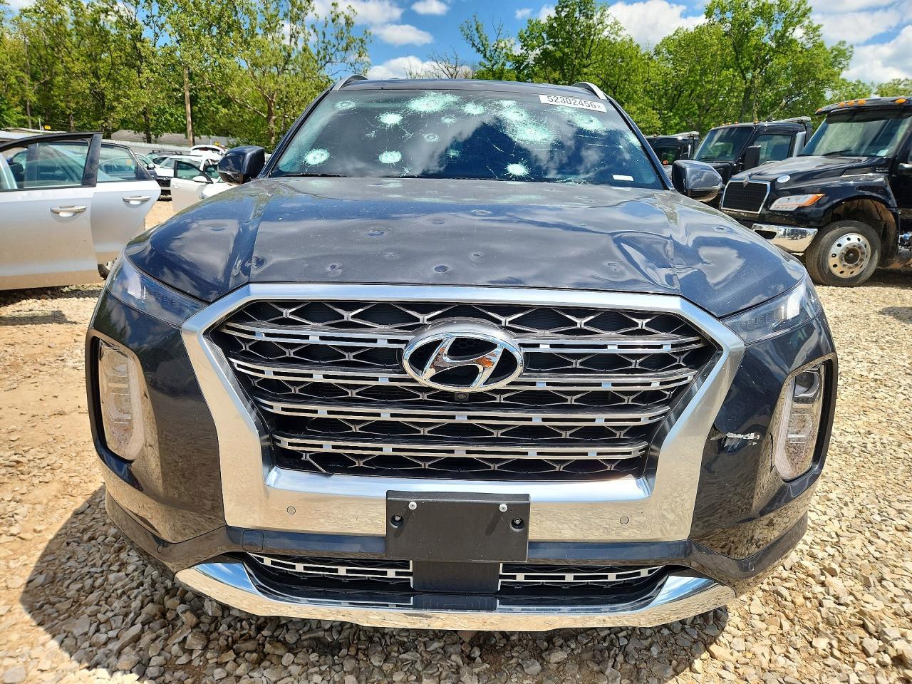 2020 Hyundai Palisade Limited - Фото 5