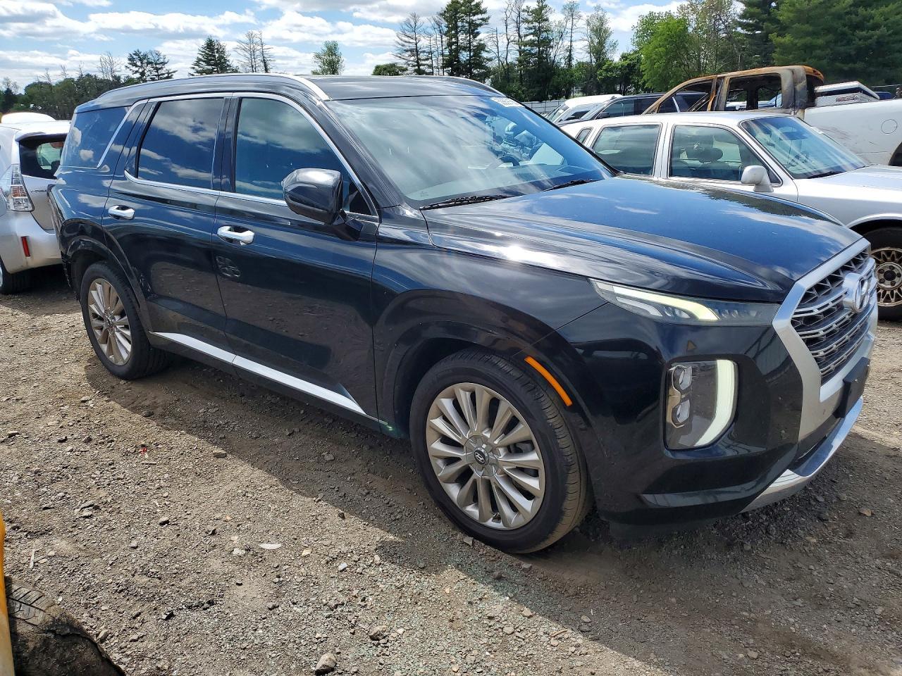 2020 Hyundai Palisade Limited - Фото 4