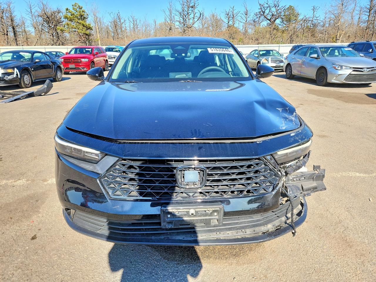 2023 Honda Accord Sed - Image 5