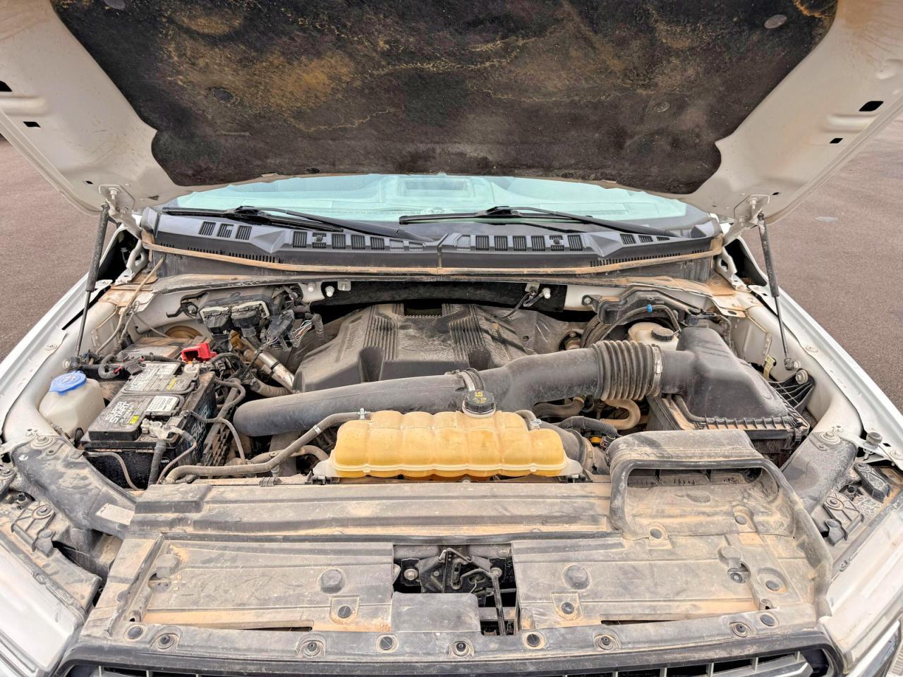 2019 Ford F150 Supercrew - Фото 7