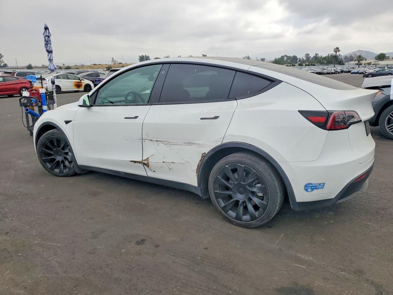 2021 Tesla Model Y - Фото 2