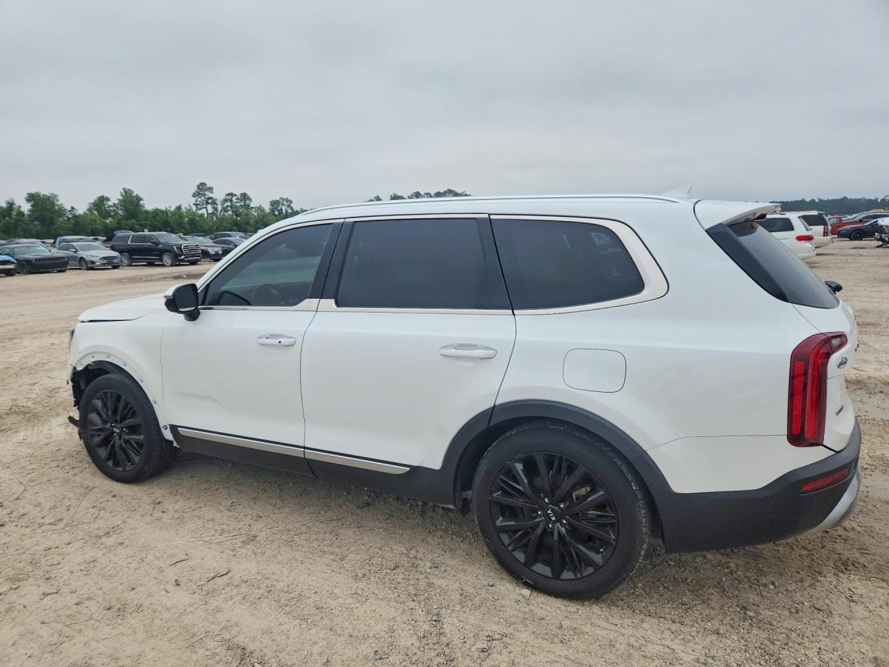 2020 Kia Telluride Sx - Фото 2