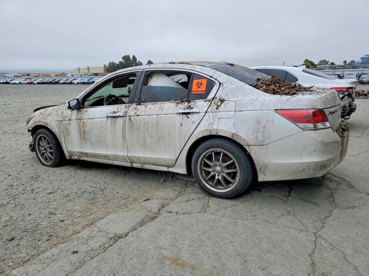 2008 Honda Accord Exl - Фото 2