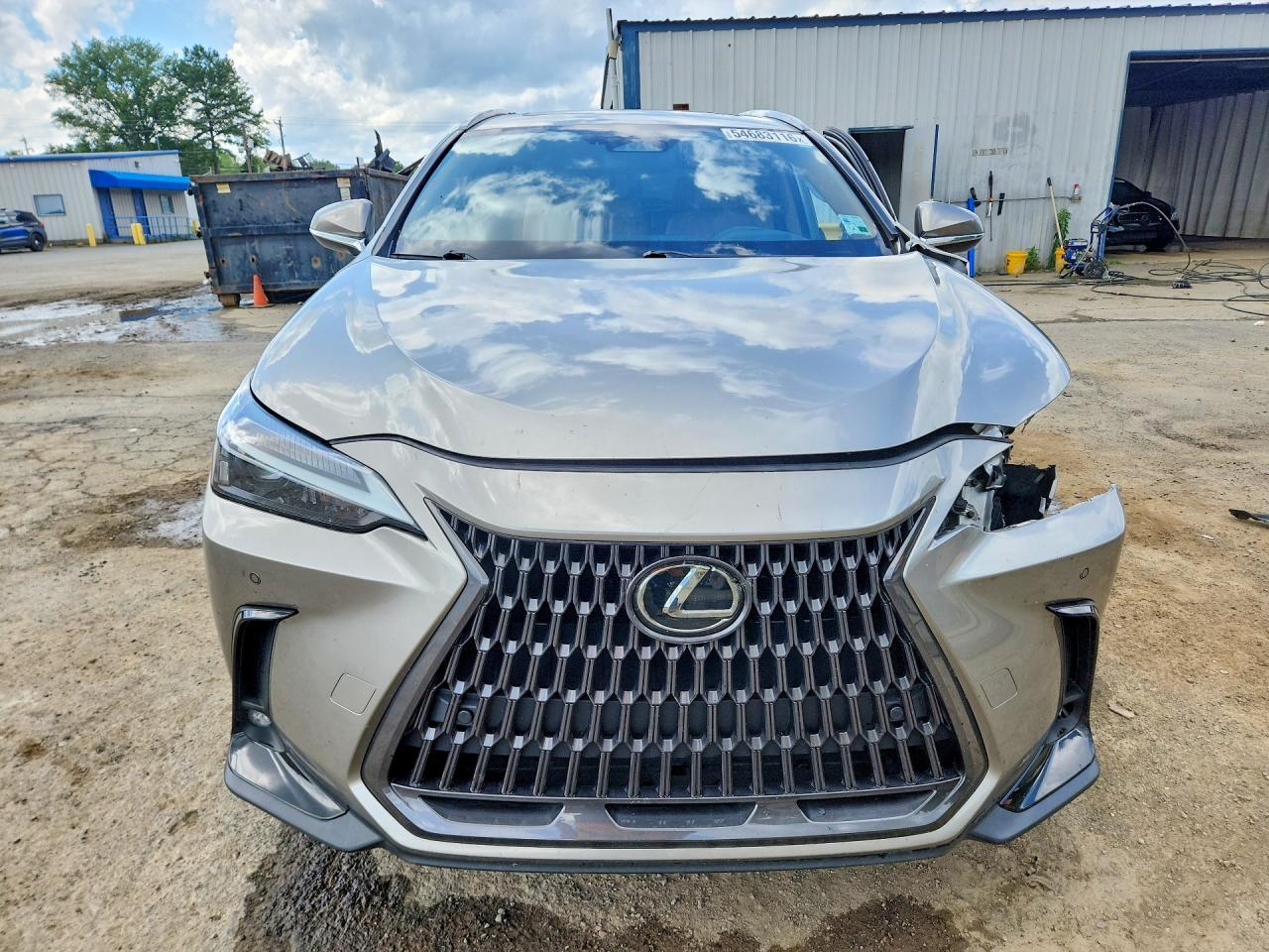 2024 Lexus Nx 350 Premium - Image 5