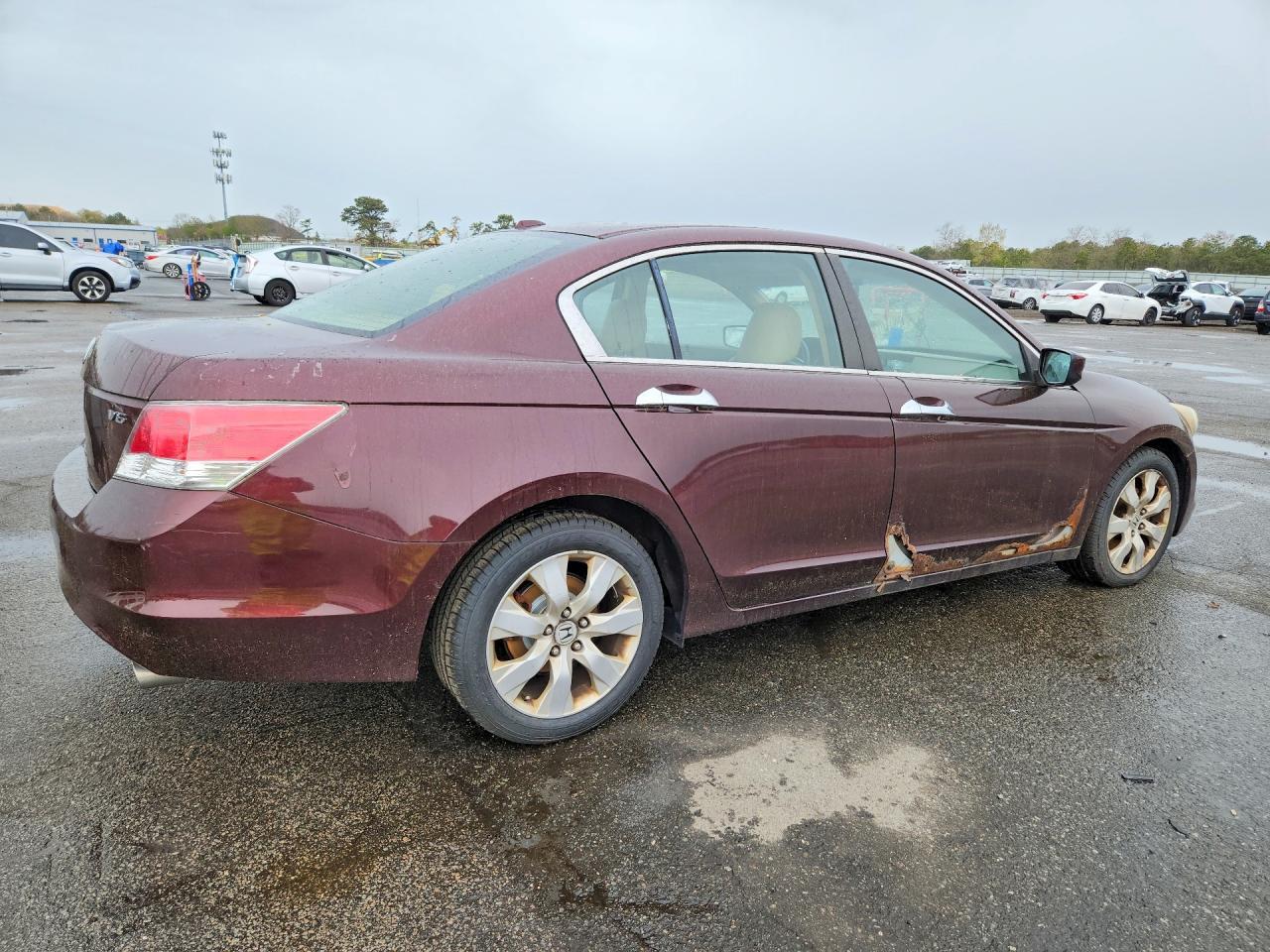 2010 Honda Accord Exl - Фото 3