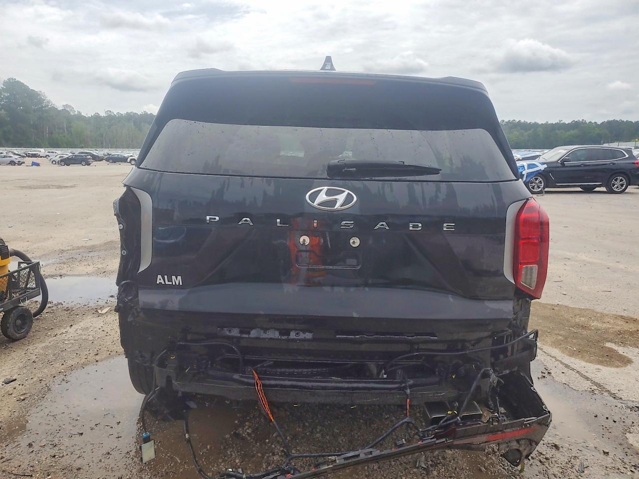 2025 Hyundai Palisade Sel Premium - Фото 6