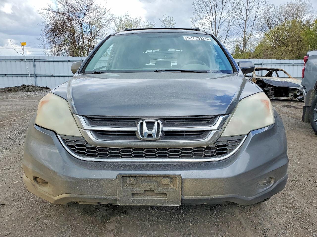 2010 Honda Cr-V Exl - Image 5