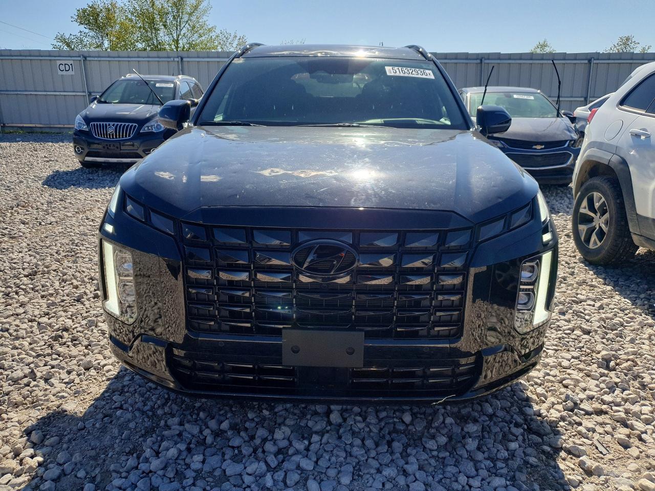 2024 Hyundai Palisade Calligraphy Night Edition - Фото 5