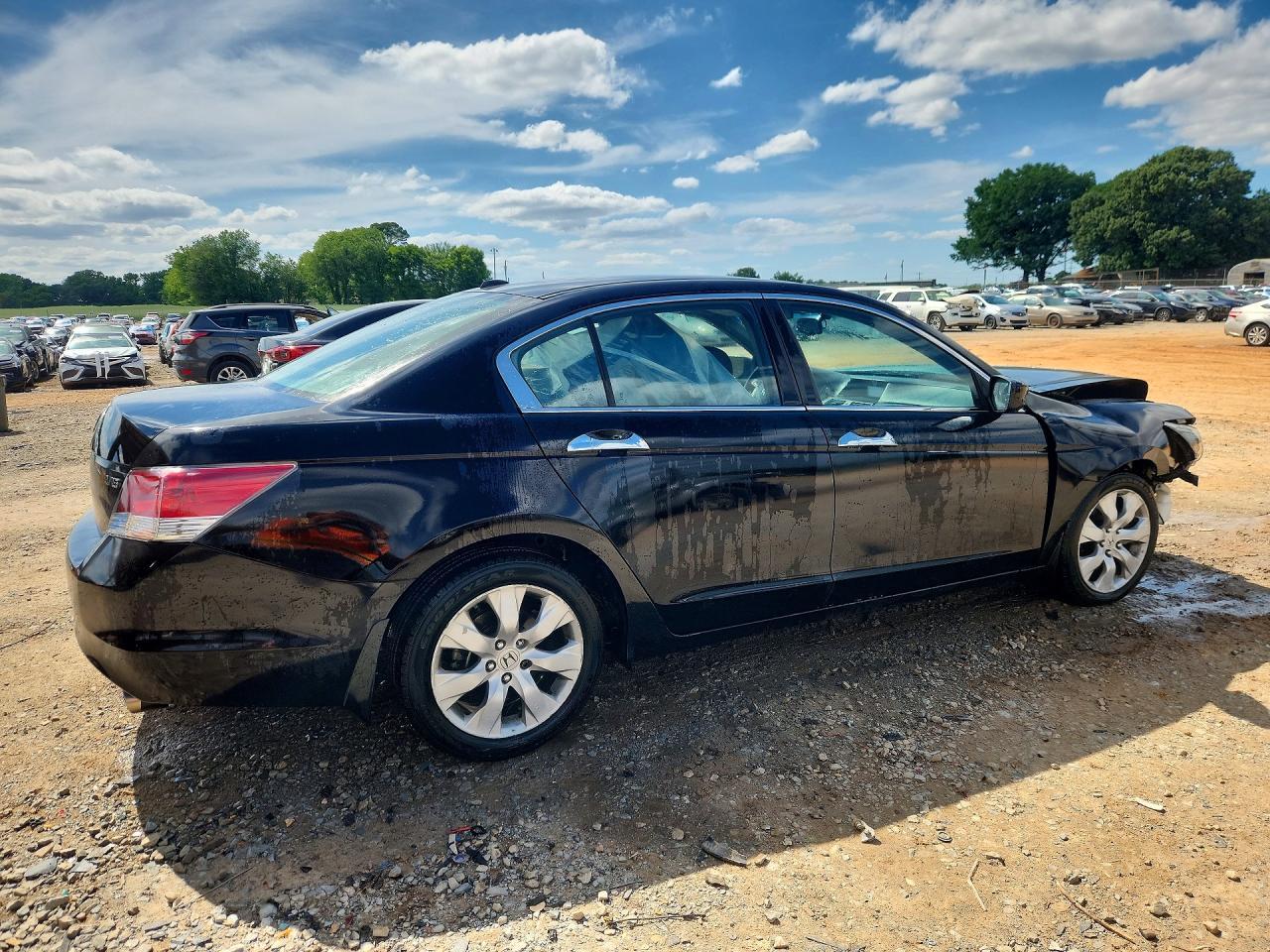 2010 Honda Accord Exl - Image 3
