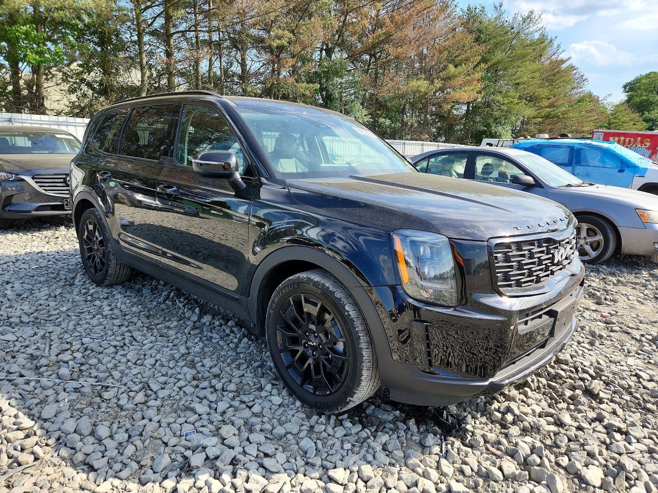 2022 Kia Telluride Ex - Image 4