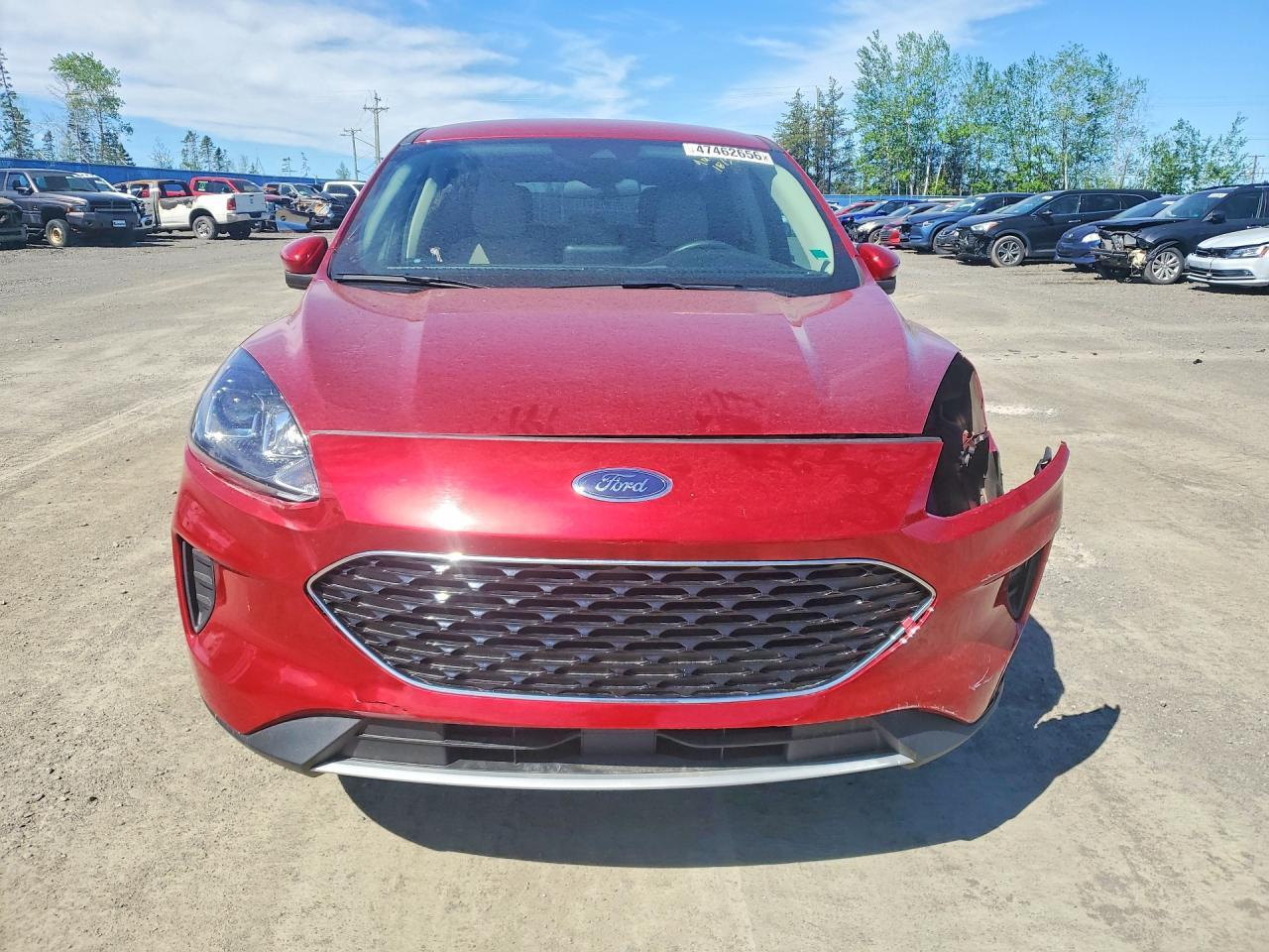 2020 Ford Escape Se - Image 5