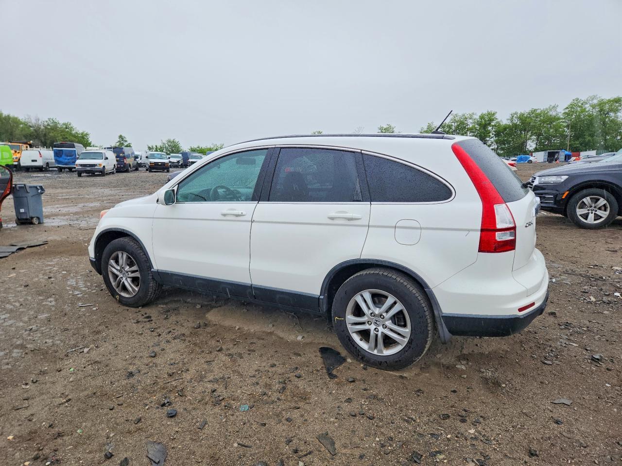 2010 Honda Cr-V Exl - Image 2