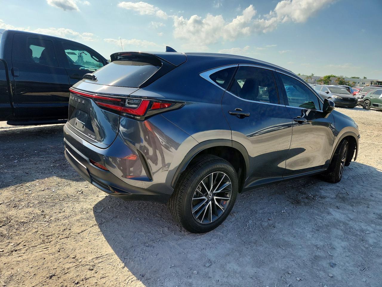 2024 Lexus Nx 250 Premium - Фото 3