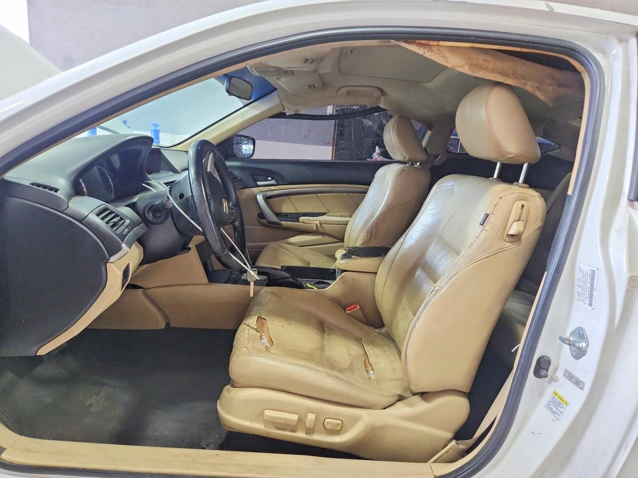 2010 Honda Accord Exl - Image 7