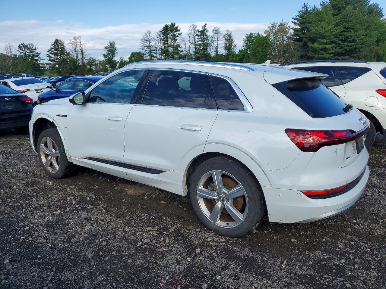 2019 Audi E-Tron Prestige - Image 2