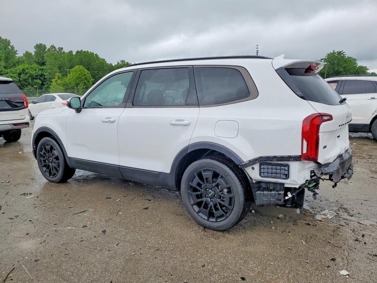 2022 Kia Telluride Ex - Фото 2