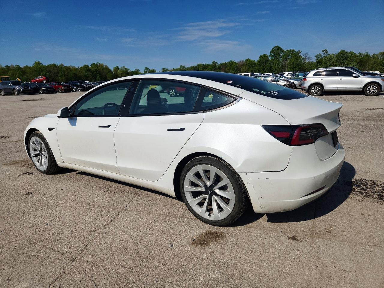 2021 Tesla Model 3 - Фото 2