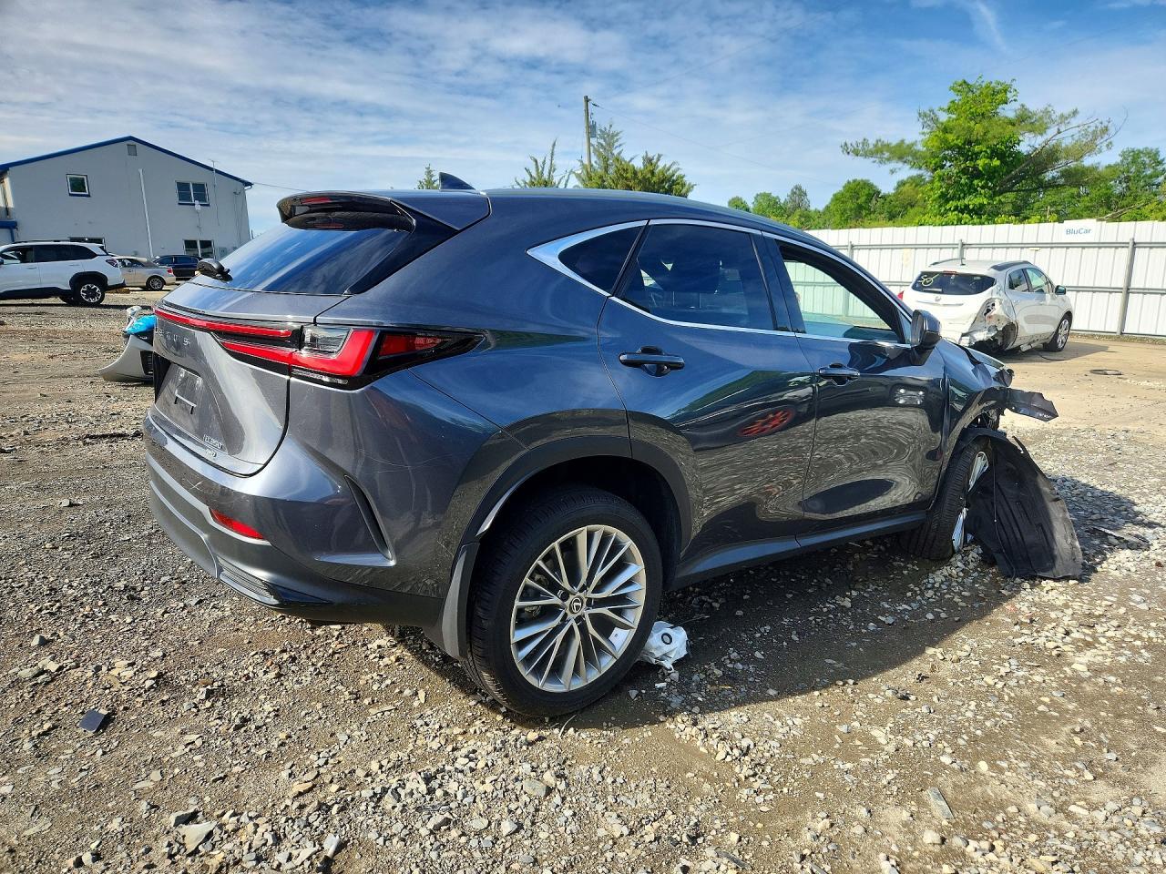 2025 Lexus Nx 350 Premium - Фото 3