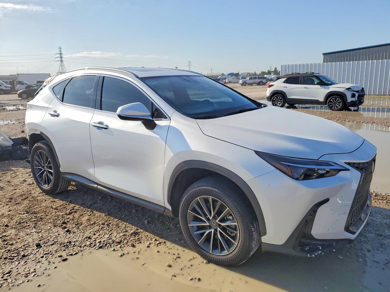2025 Lexus Nx - Image 4