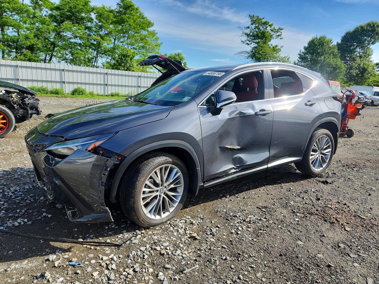 2025 Lexus Nx 350 Premium