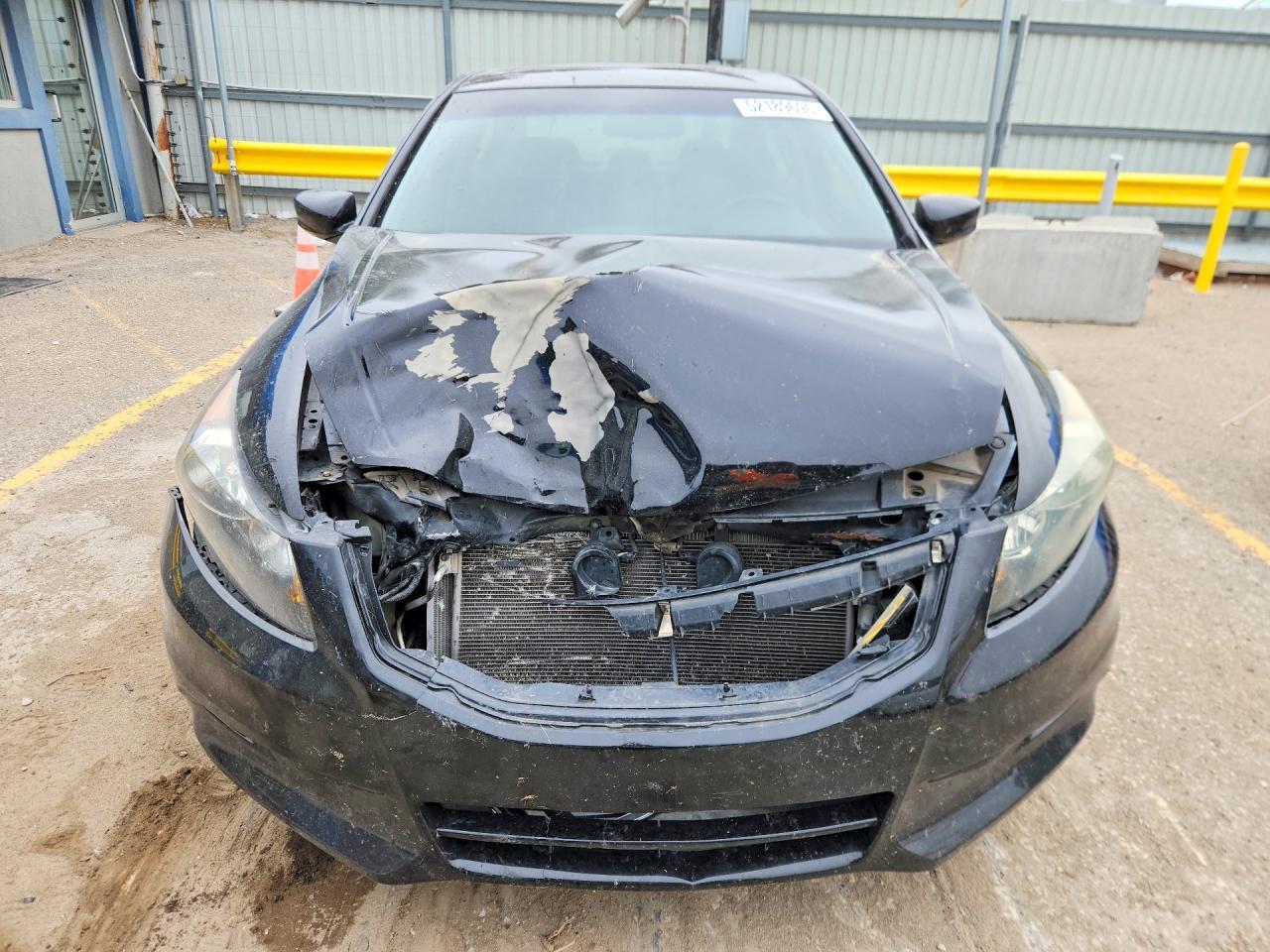 2011 Honda Accord Exl - Фото 5