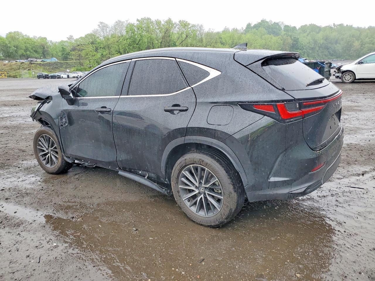 2025 Lexus Nx 350 Premium - Фото 2