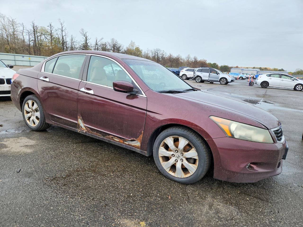 2010 Honda Accord Exl - Фото 4