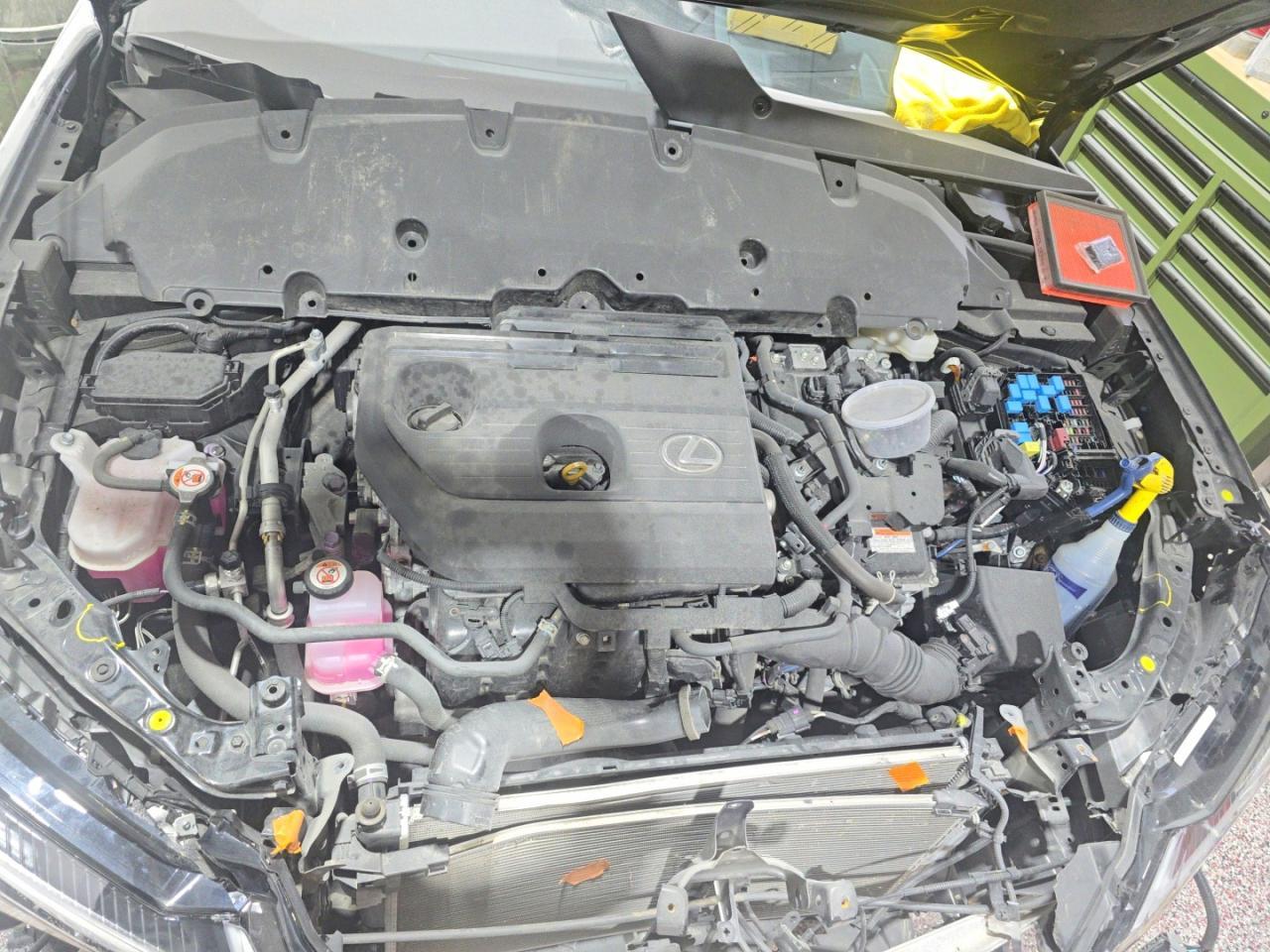 2025 Lexus Ux 300H Base - Фото 7