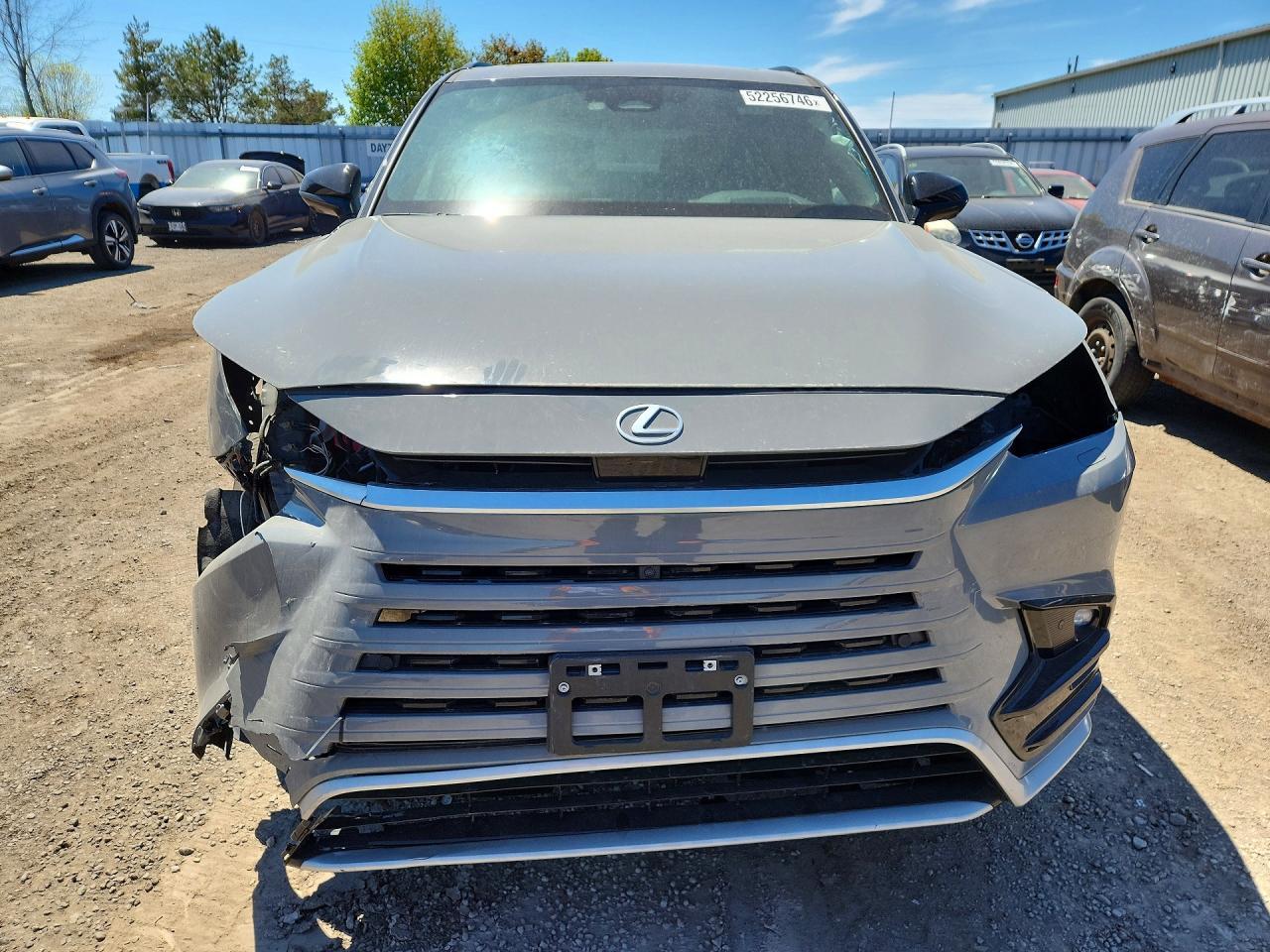 2025 Lexus Tx 500H F Sport Performance Premium - Фото 5