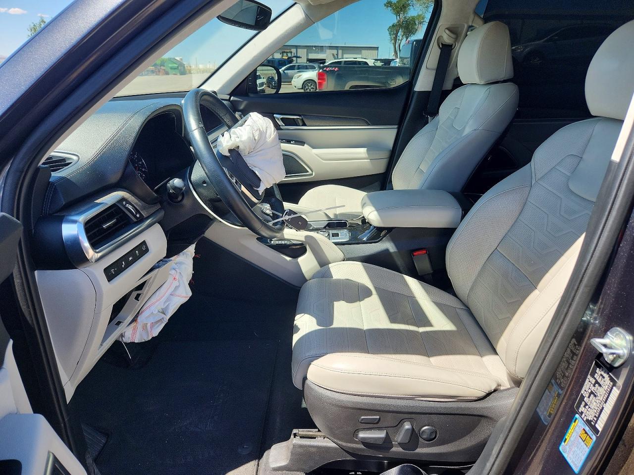 2022 Kia Telluride Sx - Фото 7