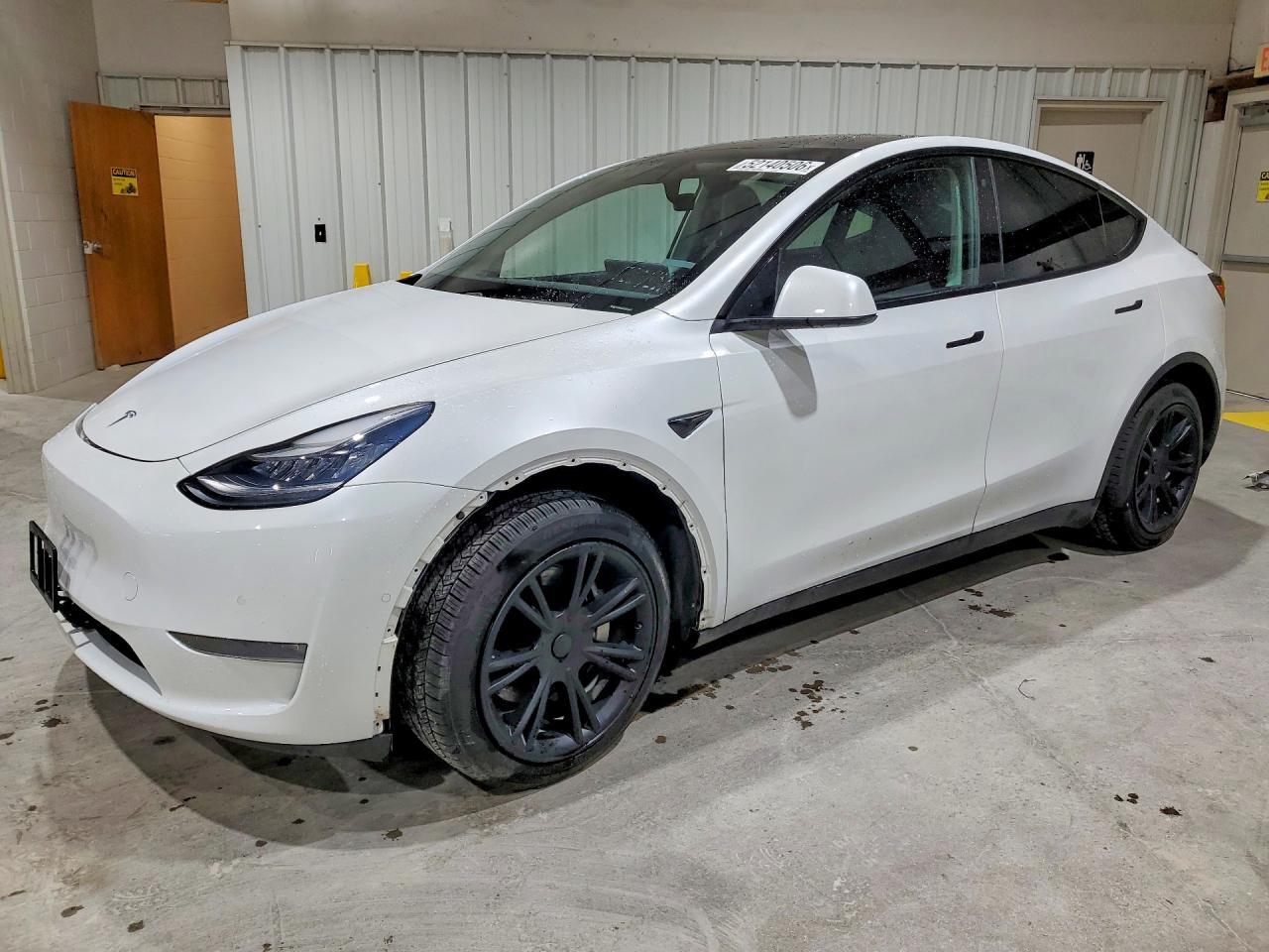 2020 Tesla Model Y
