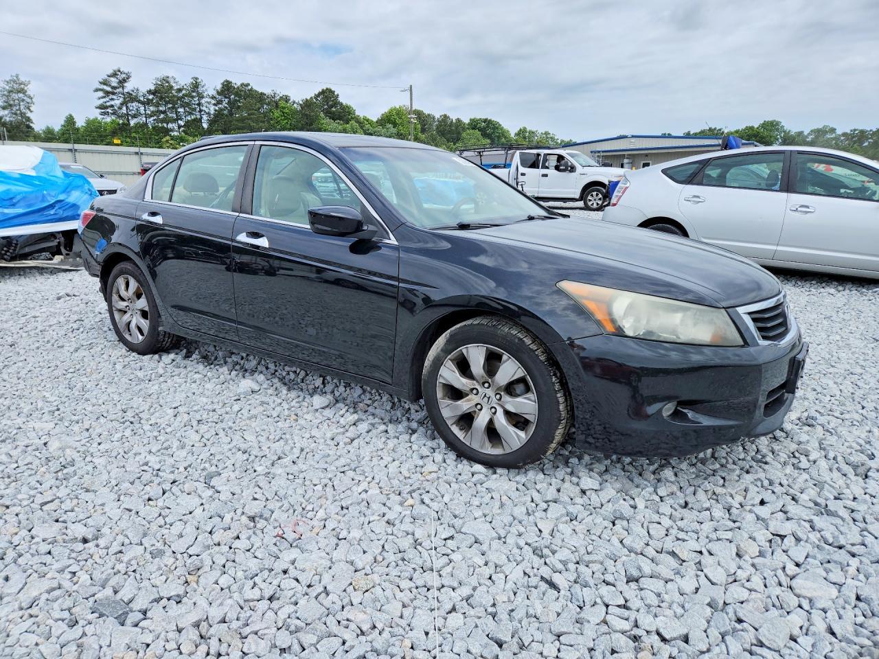 2010 Honda Accord Exl - Фото 4