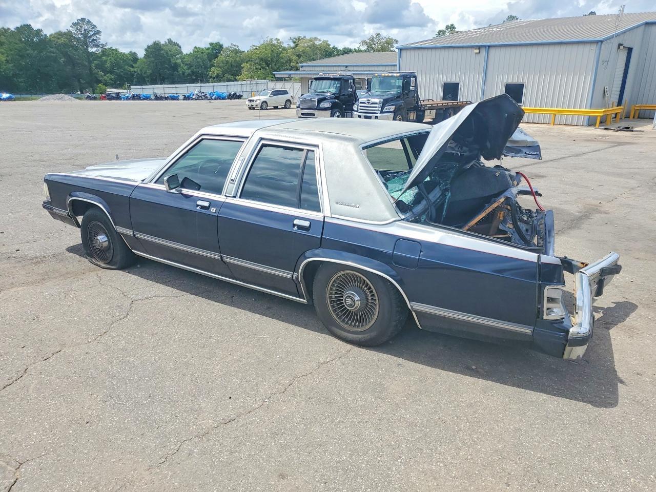 1991 Mercury Grand Marquis Ls - Фото 2