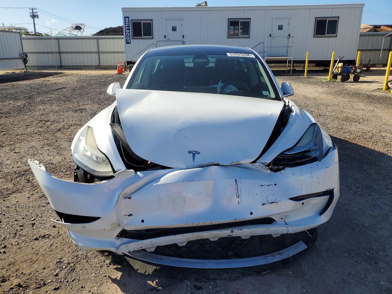 2019 Tesla Model 3 - Фото 5
