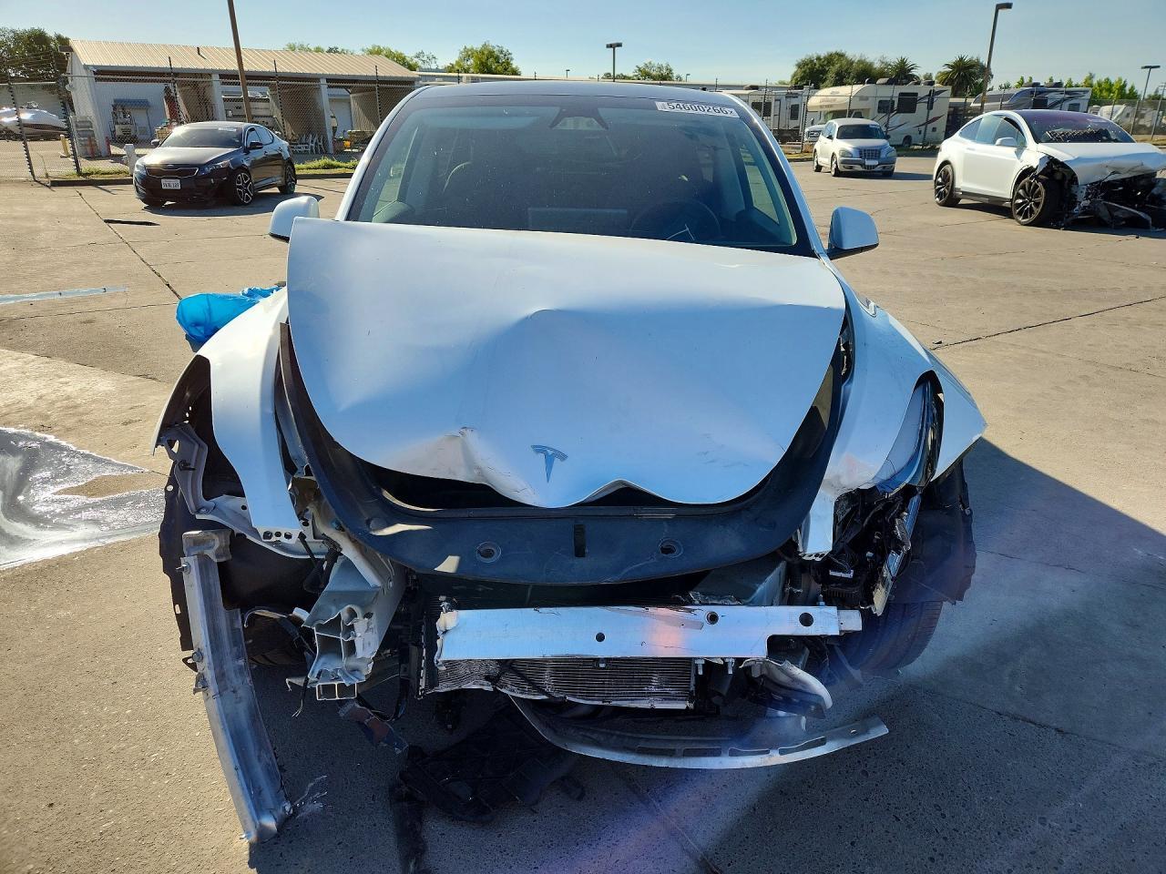 2024 Tesla Model Y - Фото 5