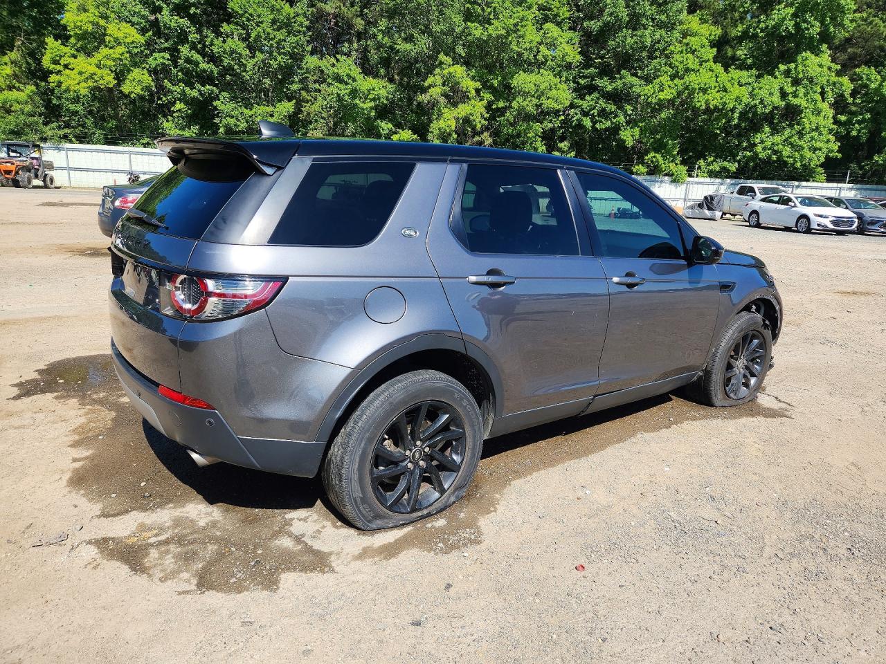 2019 Land Rover Discovery Sport Hse - Фото 3