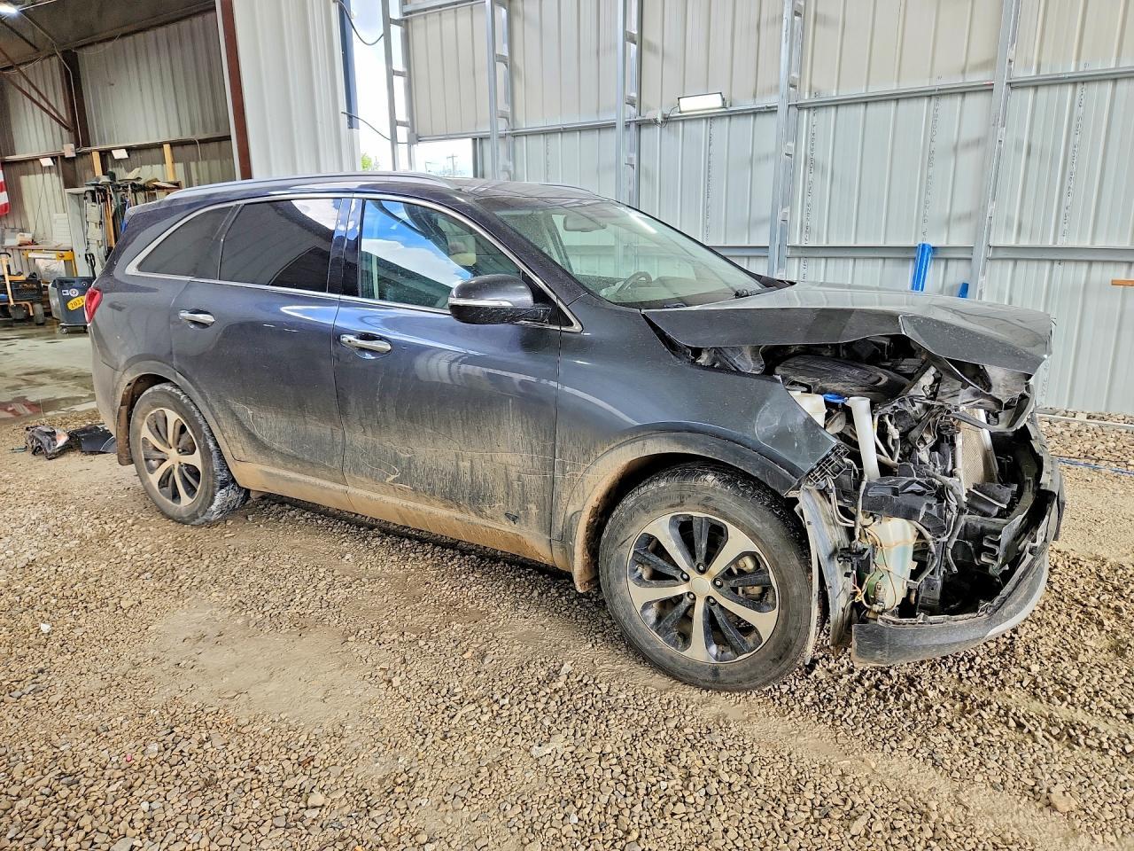 2017 Kia Sorento Ex - Фото 4