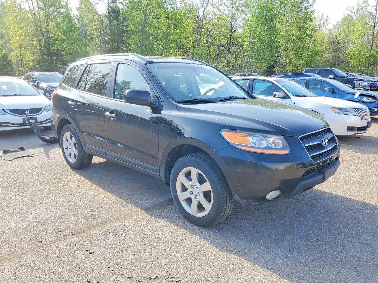 2009 Hyundai Santa Fe Se - Фото 4