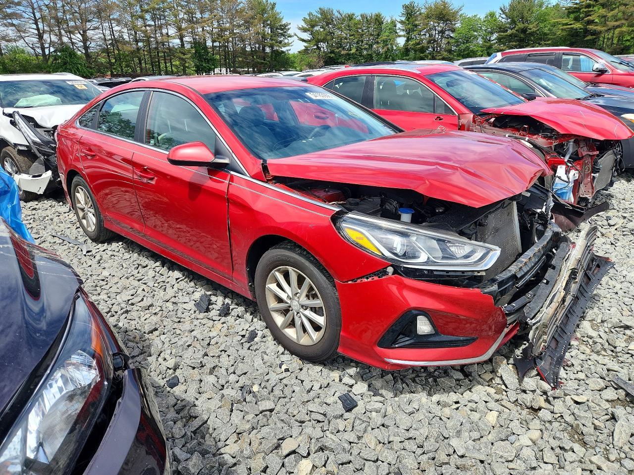 2019 Hyundai Sonata Se - Фото 4
