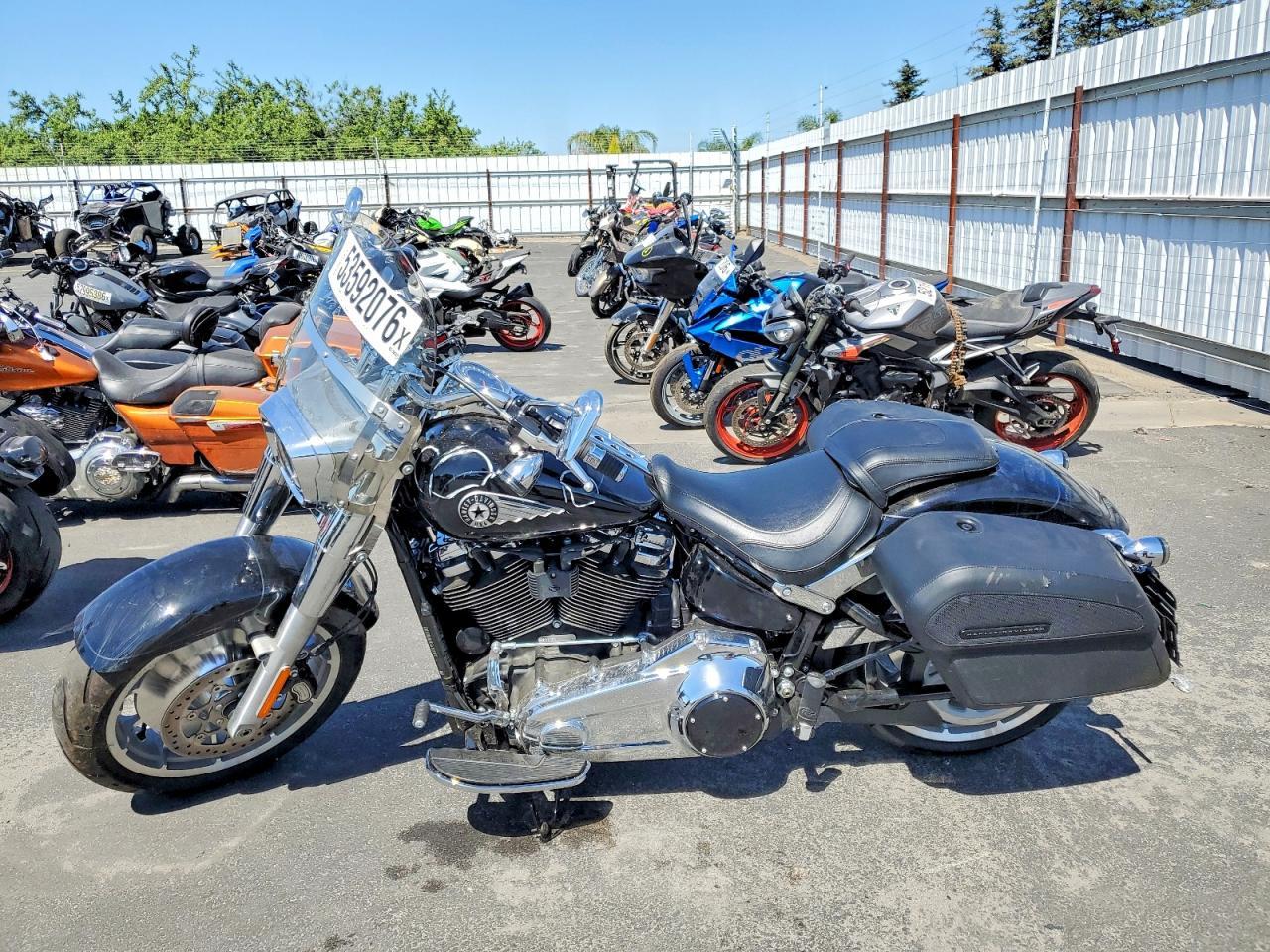 2025 Harley-Davidson Flfb - Фото 3