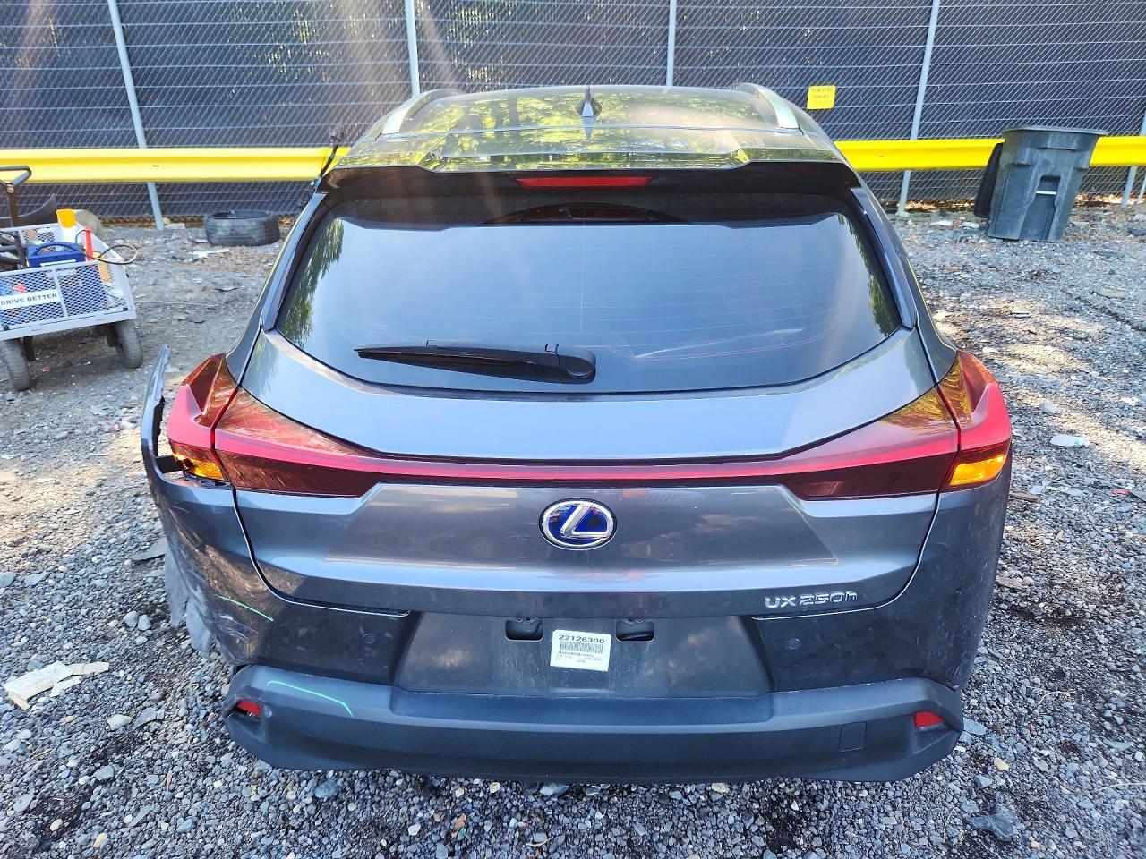 2022 Lexus Ux 250H Base - Фото 6