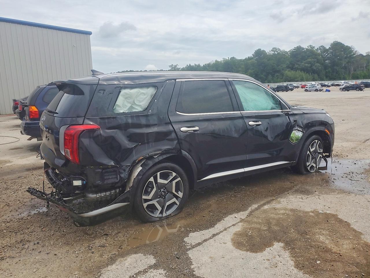 2025 Hyundai Palisade Sel Premium - Фото 3