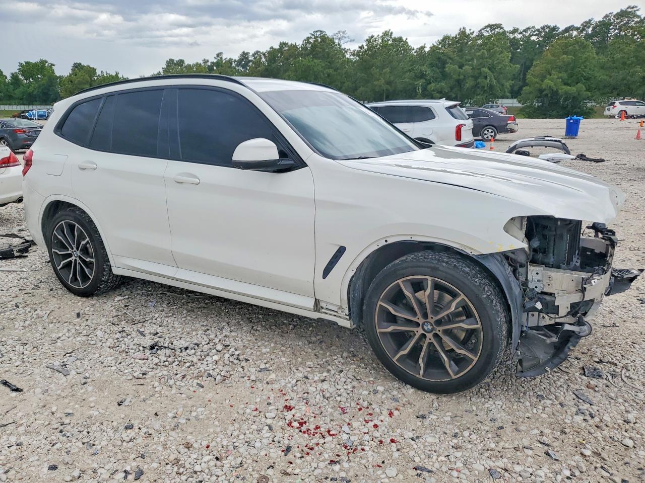 2020 BMW X3 Sdrive30I - Фото 4