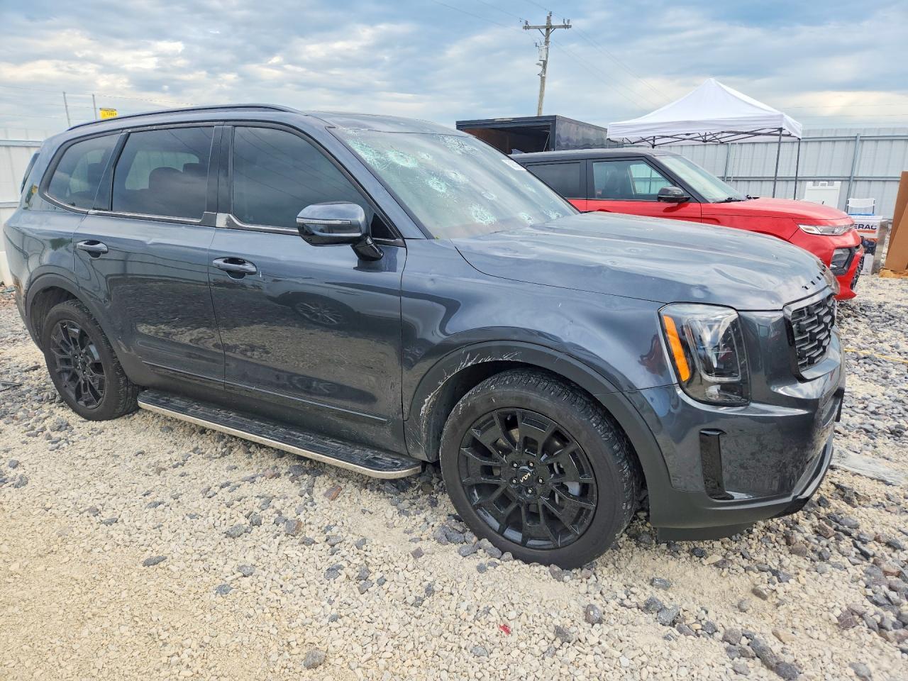 2022 Kia Telluride Sx - Фото 4