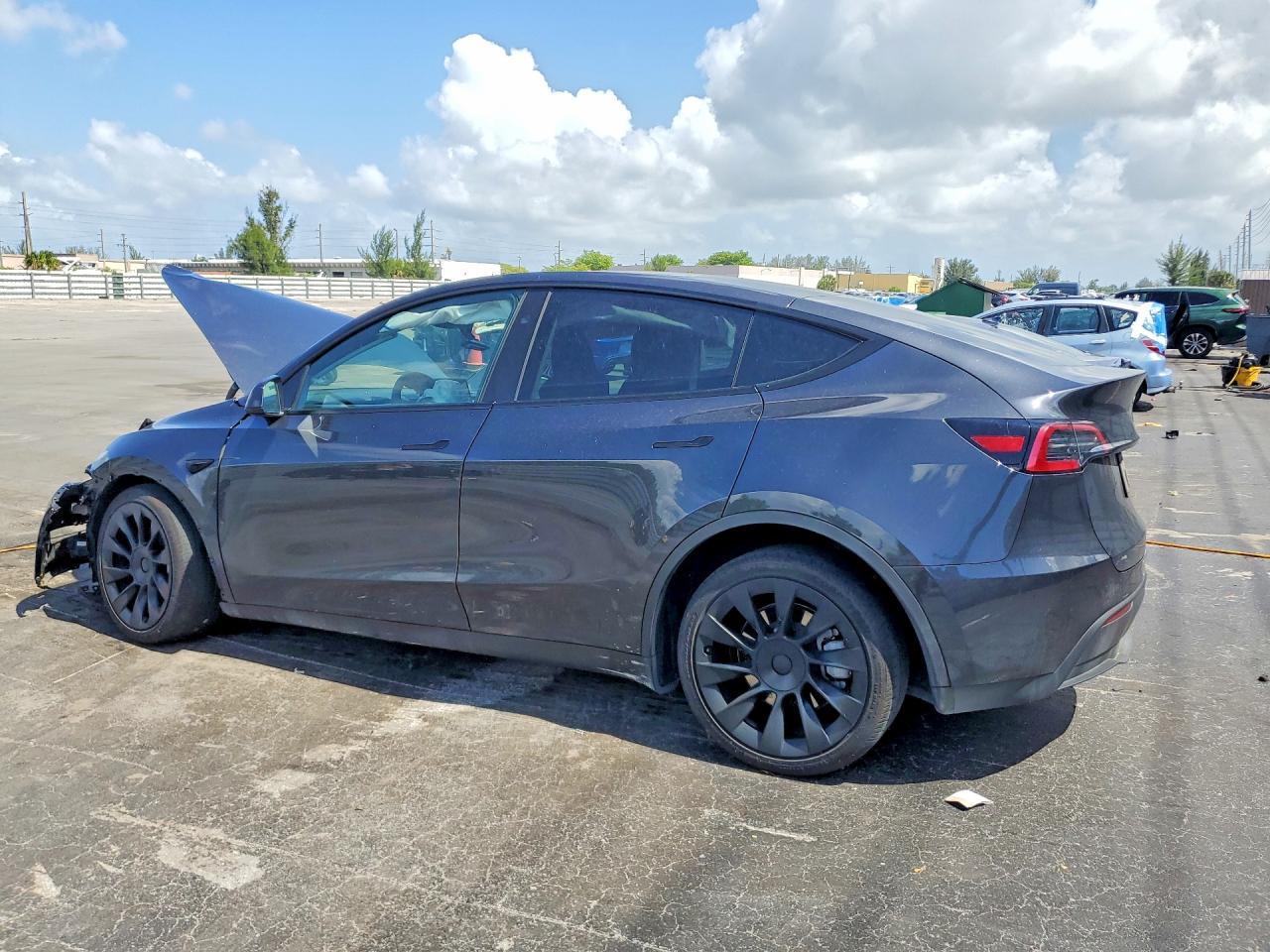 2024 Tesla Model Y - Фото 2