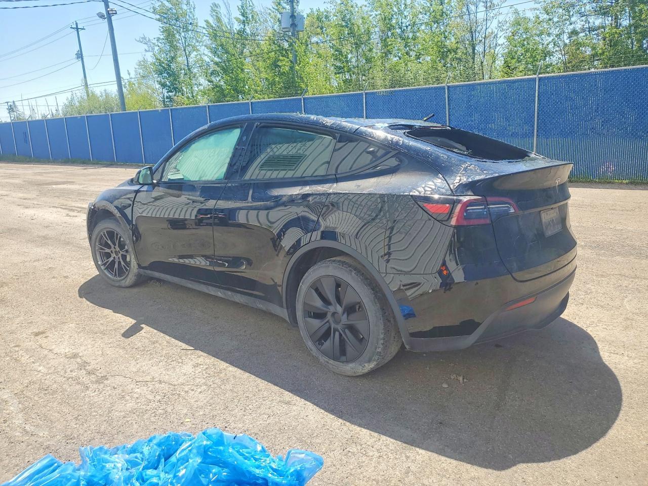 2024 Tesla Model Y - Фото 2