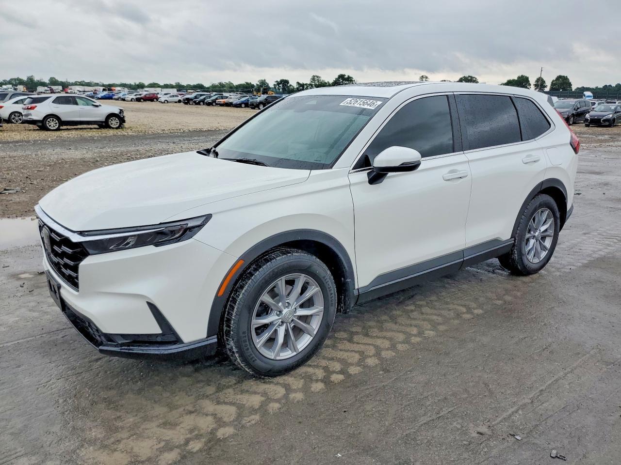 2025 Honda Cr-V Exl