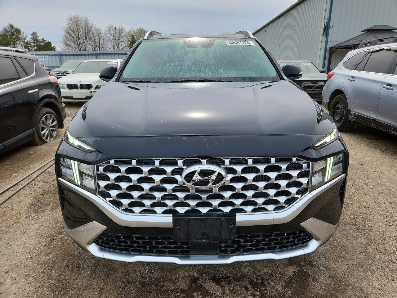 2022 Hyundai Santa Fe Sel Premium - Фото 5