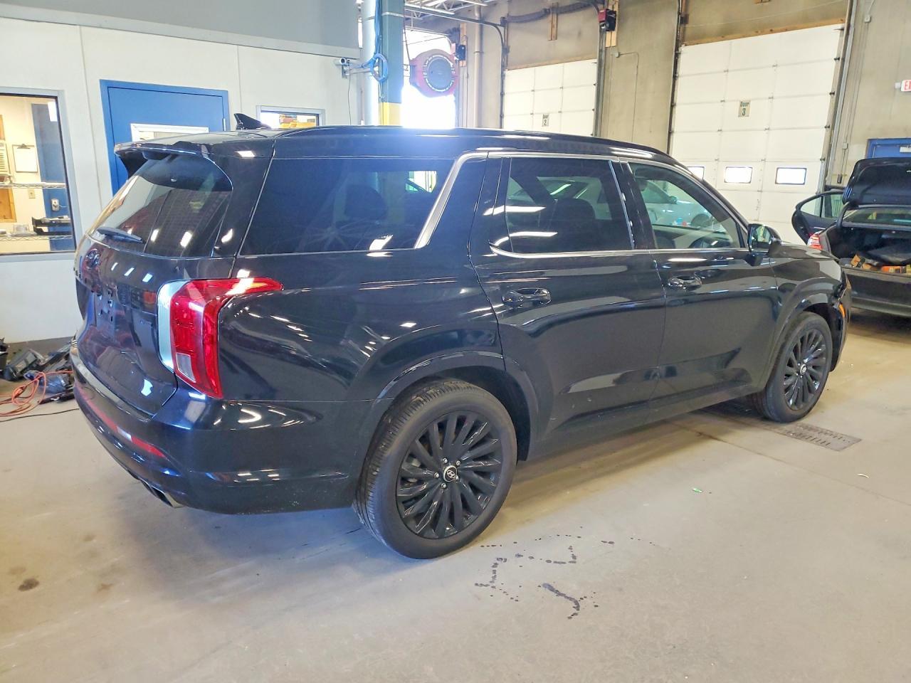 2024 Hyundai Palisade Calligraphy Night Edition - Фото 3