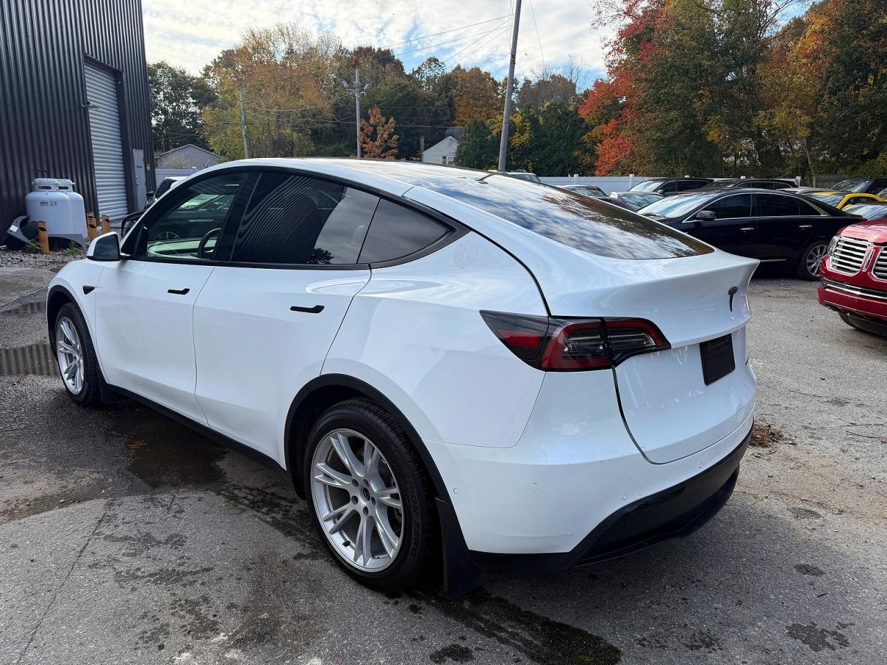 2021 Tesla Model Y - Фото 3